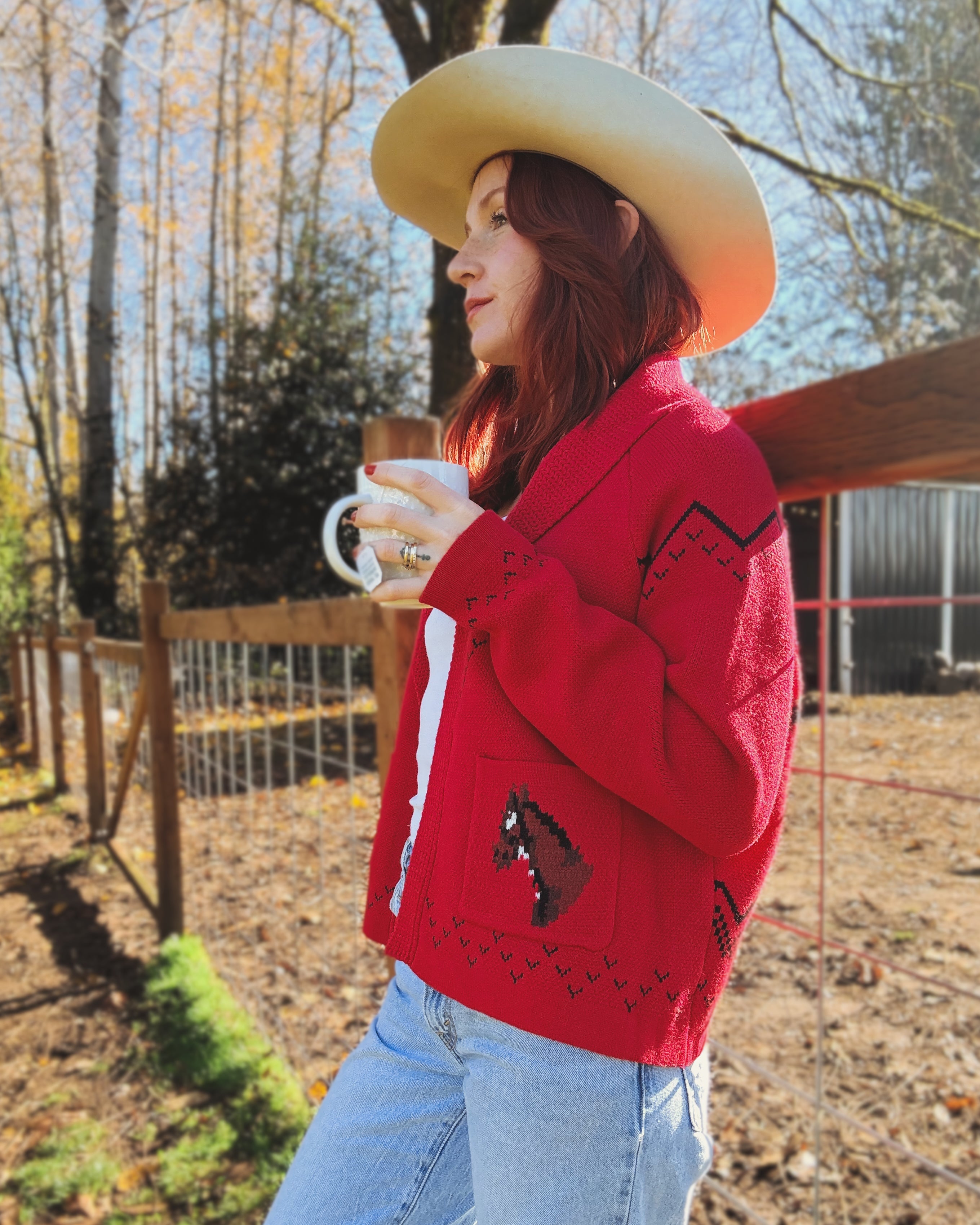 Show Pony Cardigan