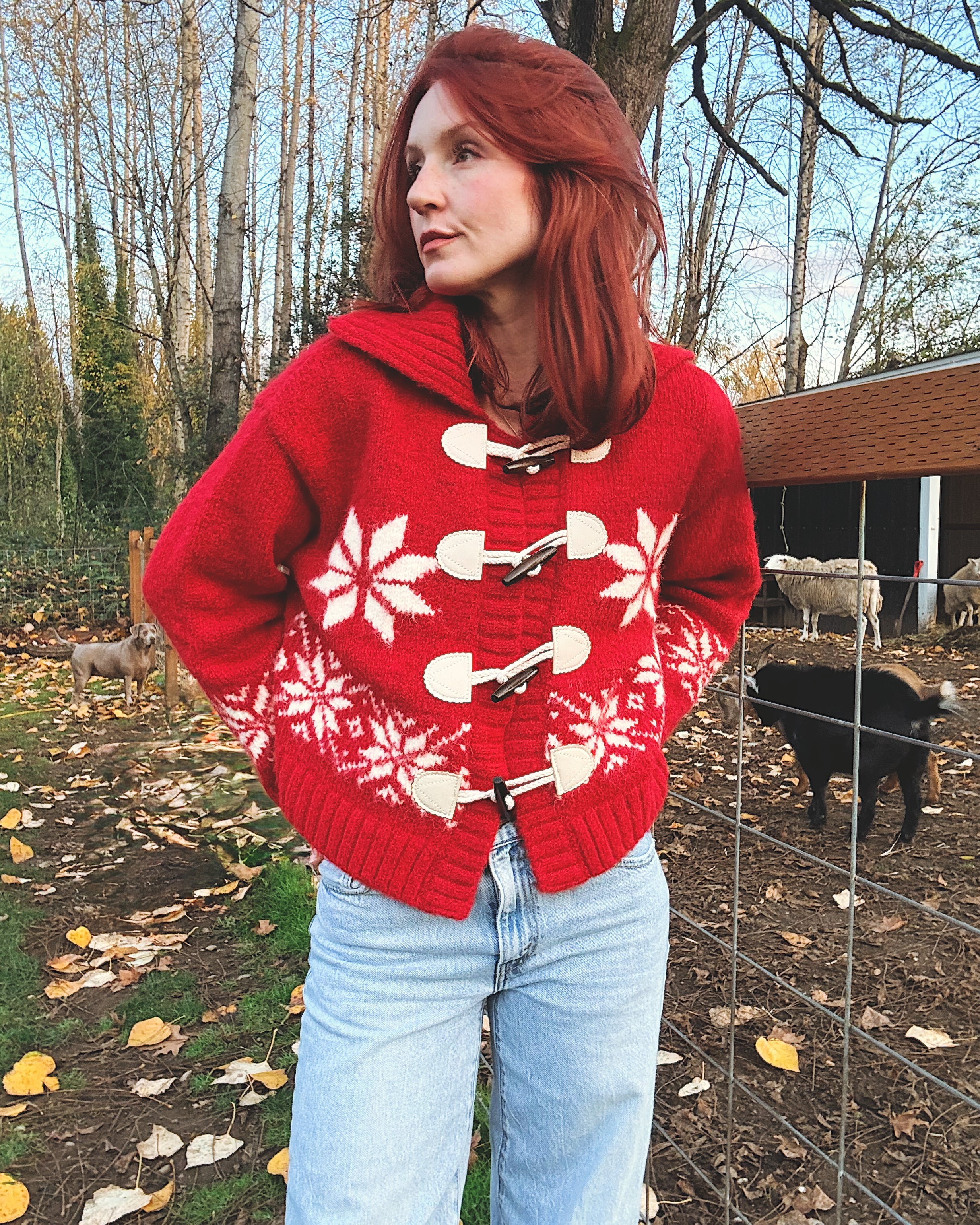 Aspen Wool Blend Toggle Sweater